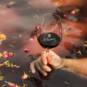 Glas rode wijn in wijnbad met wijnpulp in het water.